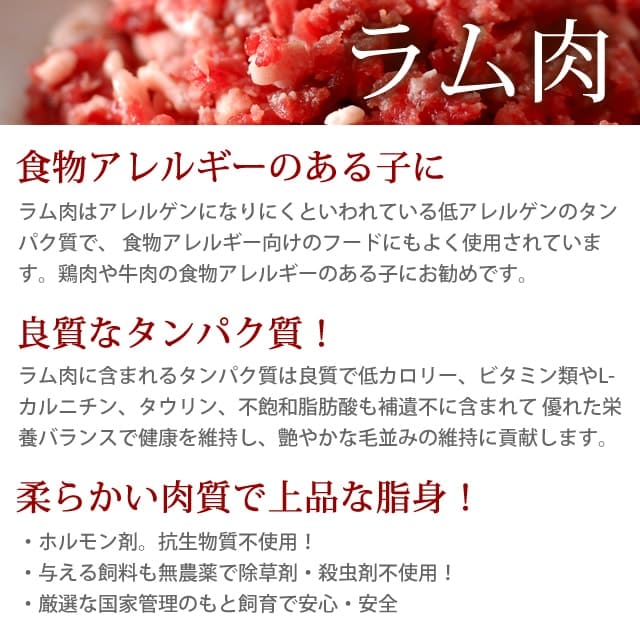 ���� ���������ơ������5�����åȡ����������Ǥ��ޤ��ۢ���ǭ�ˤ⤴���Ѥ��������ޤ�