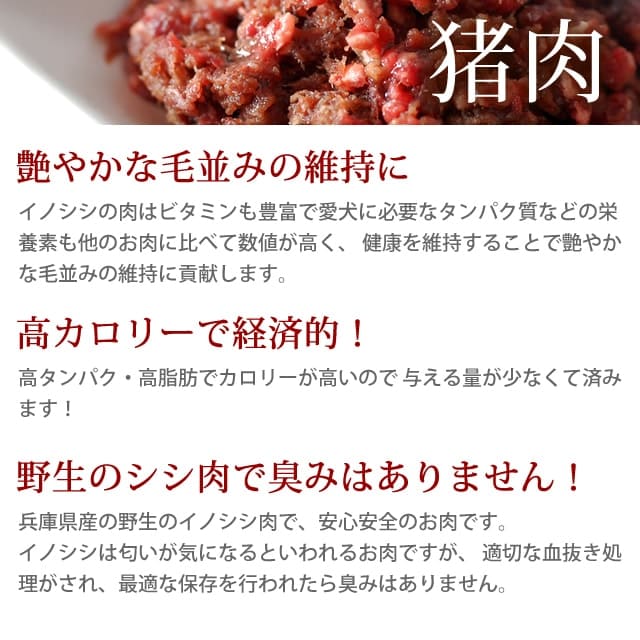 ���� ���������ơ������5�����åȡ����������Ǥ��ޤ��ۢ���ǭ�ˤ⤴���Ѥ��������ޤ�