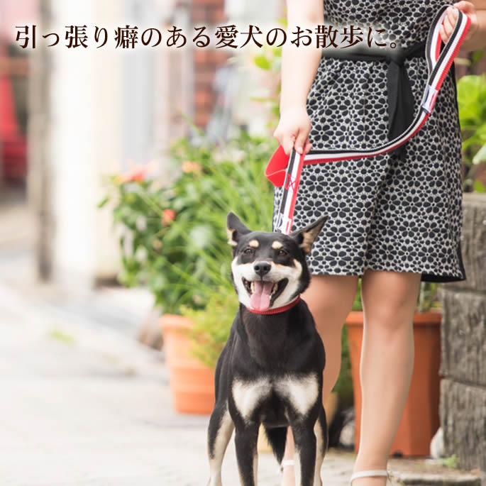 ����緿���ѥ꡼�ɡ�ASHU���ȥꥳ������ �ġ��ϥ�ɥ꡼�� ��L��������