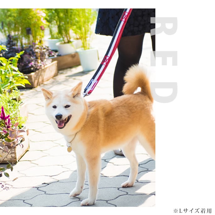 ����緿���ѥ꡼�ɡ�ASHU���ȥꥳ������ �ġ��ϥ�ɥ꡼�� ��L��������