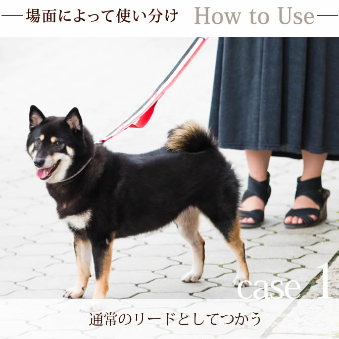 中～大型犬用リード｜ASHU トリコロール ツーハンドリード 【Lサイズ