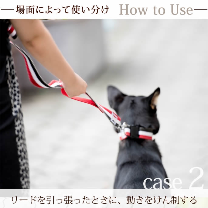 ����緿���ѥ꡼�ɡ�ASHU���ȥꥳ������ �ġ��ϥ�ɥ꡼�� ��L��������