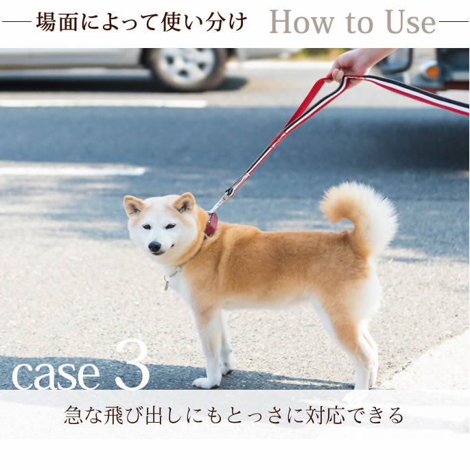 中～大型犬用リード｜ASHU トリコロール ツーハンドリード 【Lサイズ