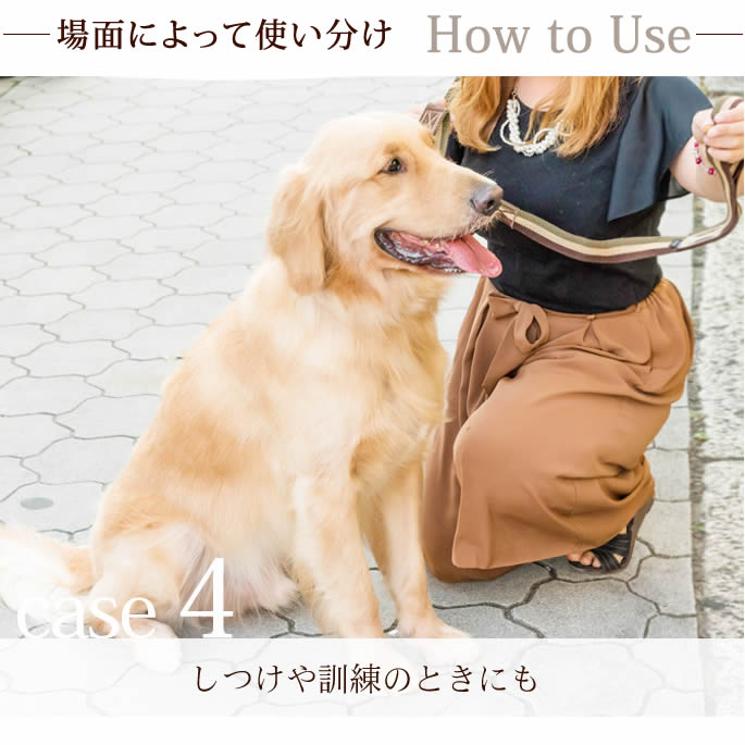 ����緿���ѥ꡼�ɡ�ASHU���ȥꥳ������ �ġ��ϥ�ɥ꡼�� ��L��������