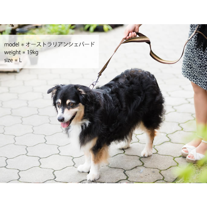 中～大型犬用リード｜ASHU トリコロール ツーハンドリード 【L