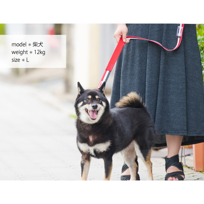 中～大型犬用リード｜ASHU トリコロール ツーハンドリード 【Lサイズ