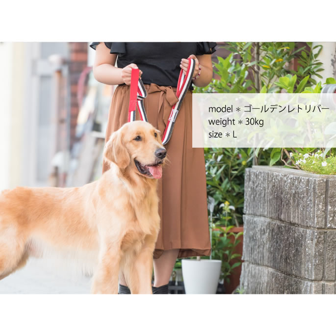 ����緿���ѥ꡼�ɡ�ASHU���ȥꥳ������ �ġ��ϥ�ɥ꡼�� ��L��������