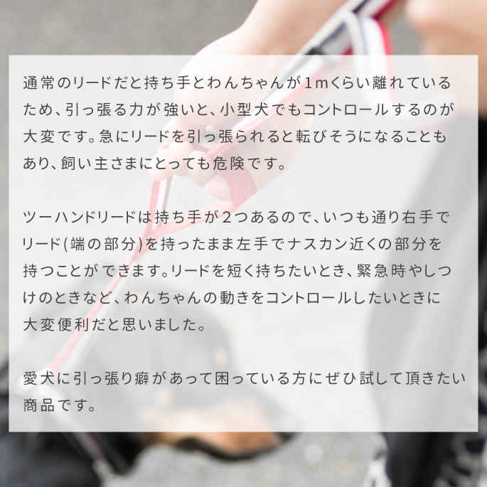 ����緿���ѥ꡼�ɡ�ASHU���ȥꥳ������ �ġ��ϥ�ɥ꡼�� ��L��������