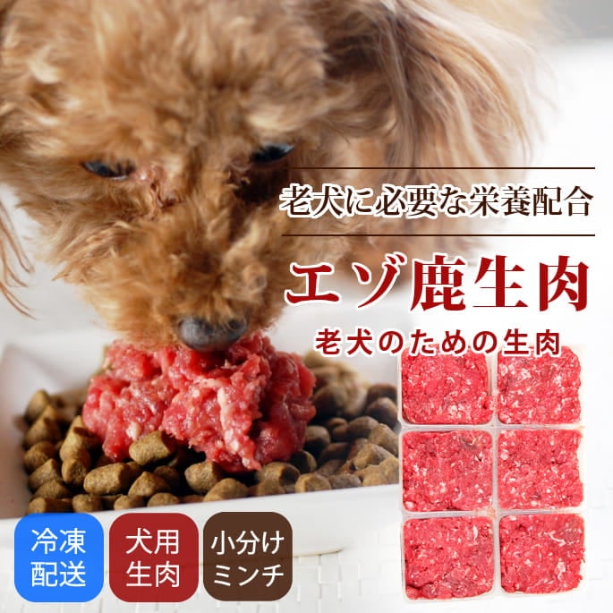  Ϸѥʬȥ졼󥶥Q10BCAAꡡ500g1a0302