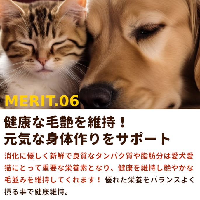 ��ǭ�� �����礦���ù񻺥����祦�����ߥ����ʬ���ȥ졼��5kg+500g(5.5kg)