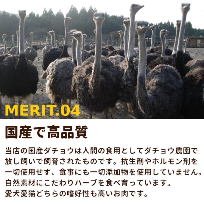 ��ǭ�� �����礦���ù񻺥����祦�����ߥ����ʬ���ȥ졼��5kg+500g(5.5kg)