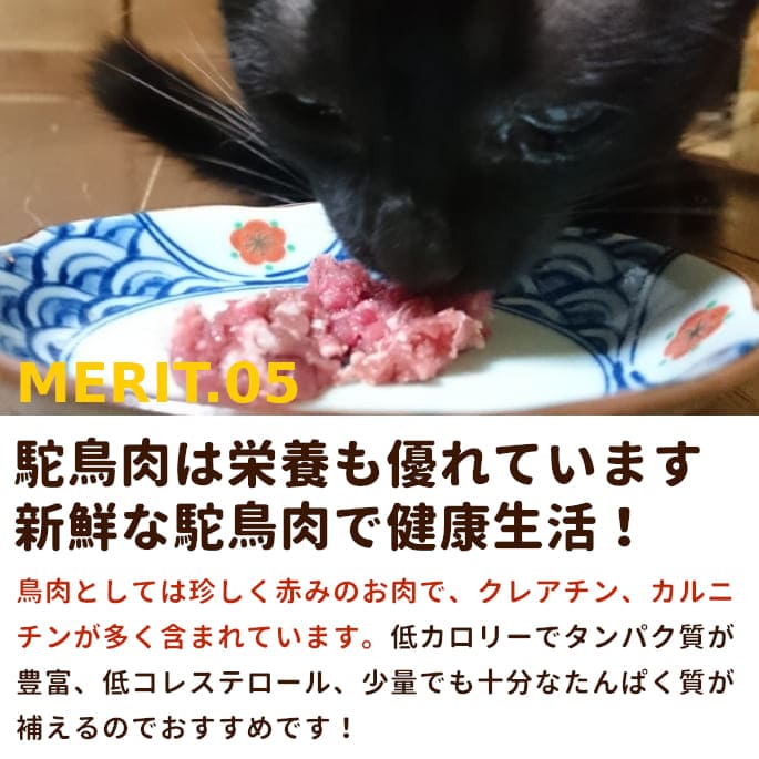 ��ǭ�� �����礦���ù񻺥����祦�����ߥ����ʬ���ȥ졼��5kg+500g(5.5kg)