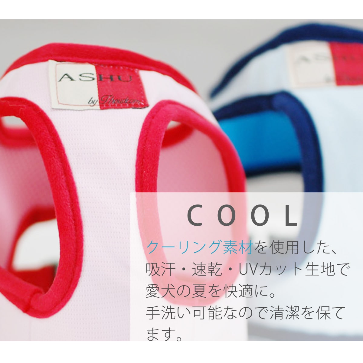 ASHU󥰥ϡͥ꡼ɥå LL(淿)