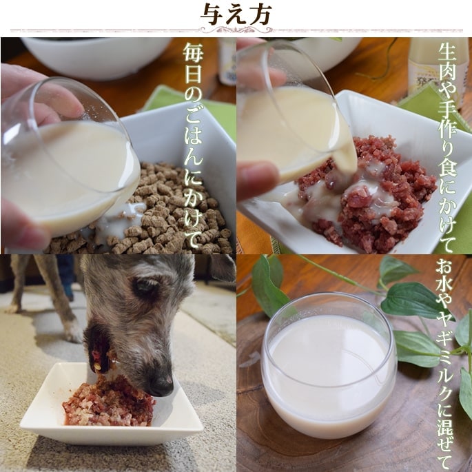 �ڥåȤΥΥ󥢥륳����ż�ȯ�ڤΤᤰ�ߡ�150g��6�ܥ��åȡ�����