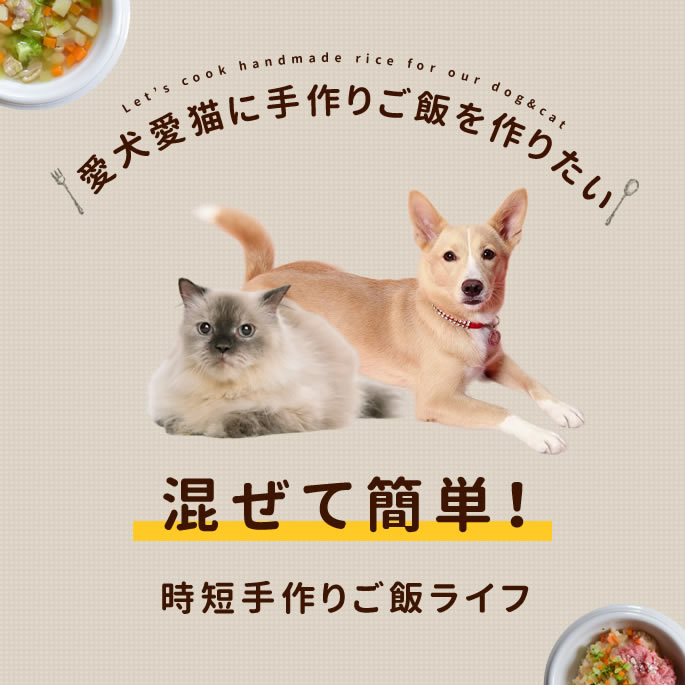 ������������ڤκ�������ꥻ�åȡڥϥ���ɥ��࿩Ʋ��