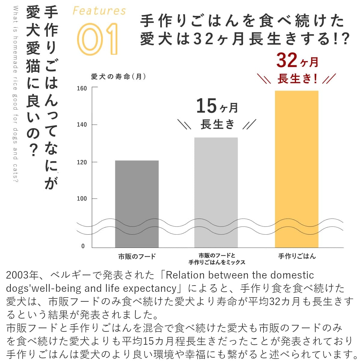 ������ ���ꤴ�Ϥ� ������ȥ��åץ�Υ��饿�� 6��/12��/24��/���å� �ڥϥ���ɥ��࿩Ʋ�ۡ������ء�