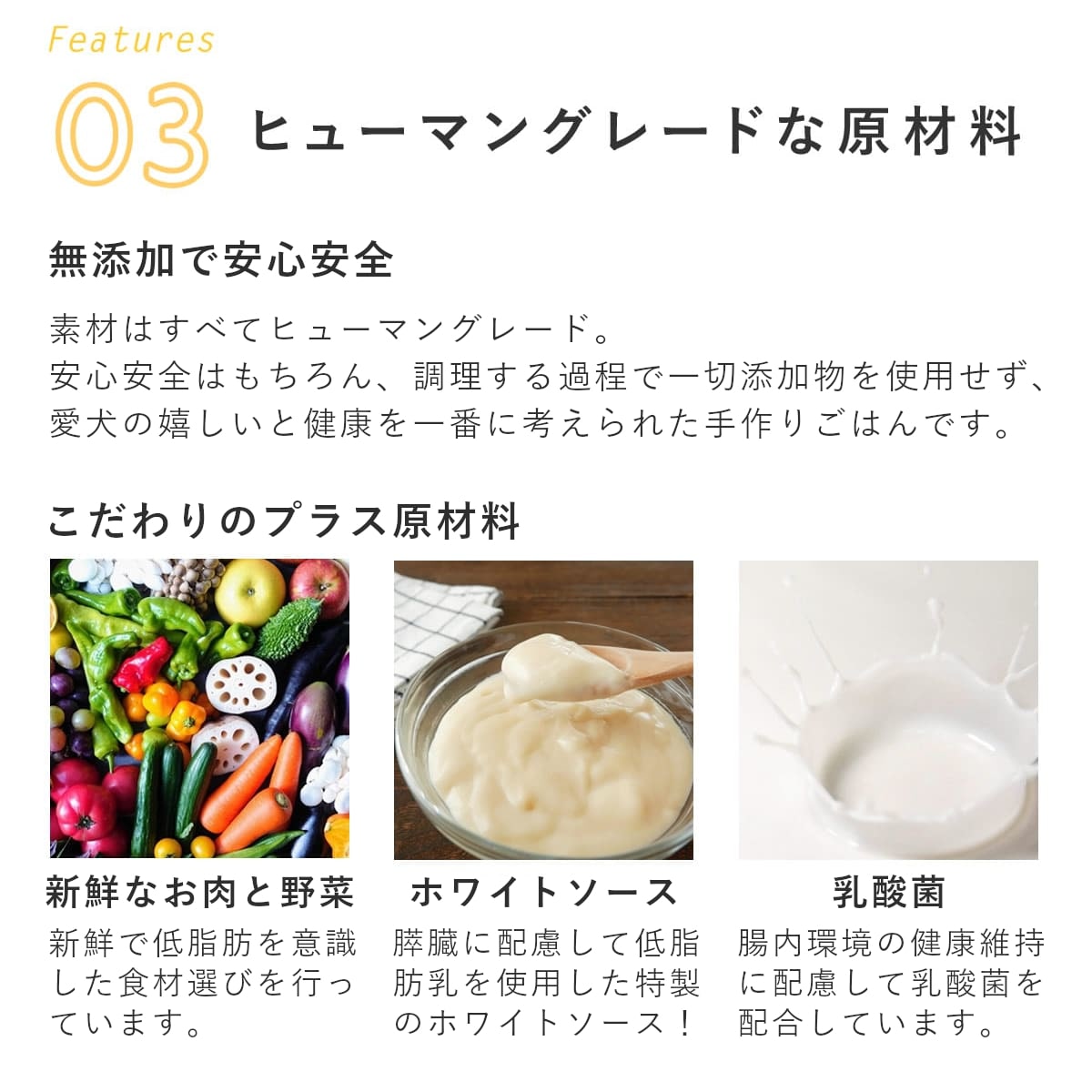 ������ ���ꤴ�Ϥ� ������ȥ��åץ�Υ��饿�� 6��/12��/24��/���å� �ڥϥ���ɥ��࿩Ʋ�ۡ������ء�