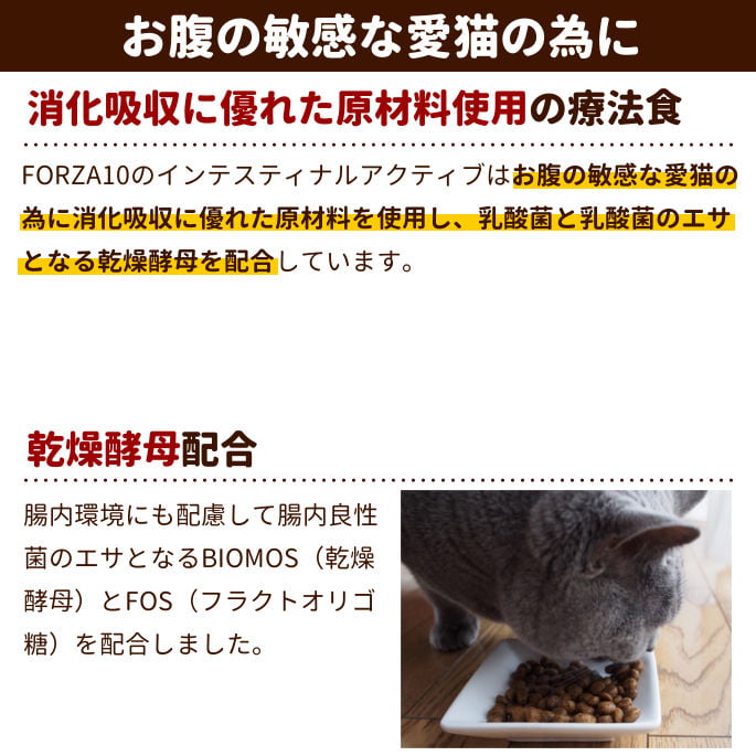 FORZA10療法食｜インテスティナルアクティブ 454g フォルツァディエチ