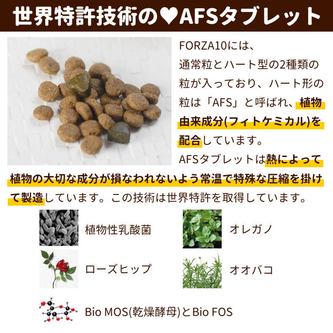 FORZA10療法食｜インテスティナルアクティブ 454g フォルツァ