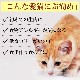 ǭ   10kgԤѥåڤޤȤ㤤