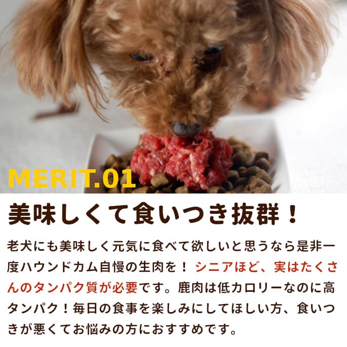  Ϸѥʬȥ졼󥶥Q10BCAAꡡ3a0302