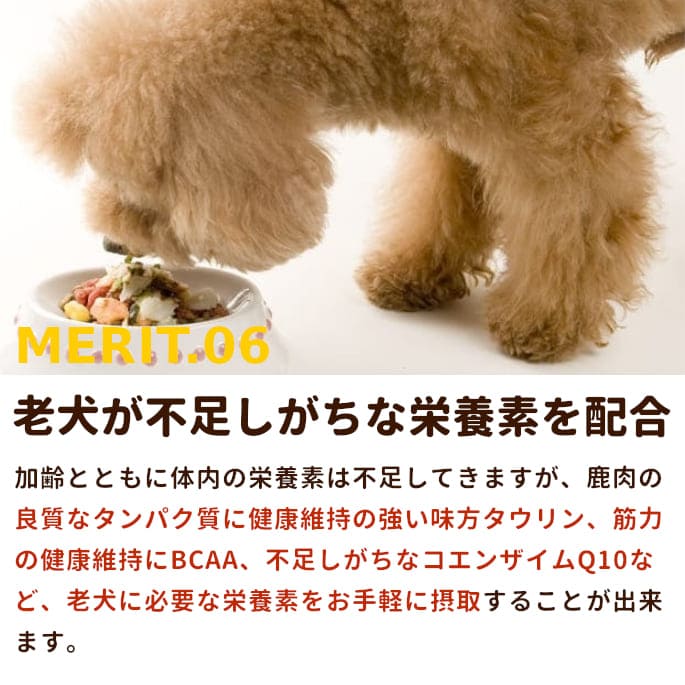  Ϸѥʬȥ졼󥶥Q10BCAAꡡ3a0302