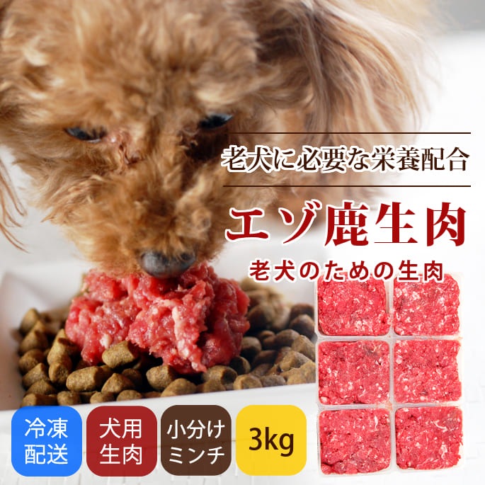  Ϸѥʬȥ졼󥶥Q10BCAAꡡ3a0302