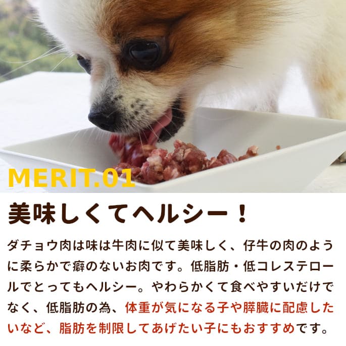 ��ǭ�� �����祦���ù񻺥����祦�����ߥ����ʬ���ȥ졼��10kg+1kg(11kg)�������礦����Ļ