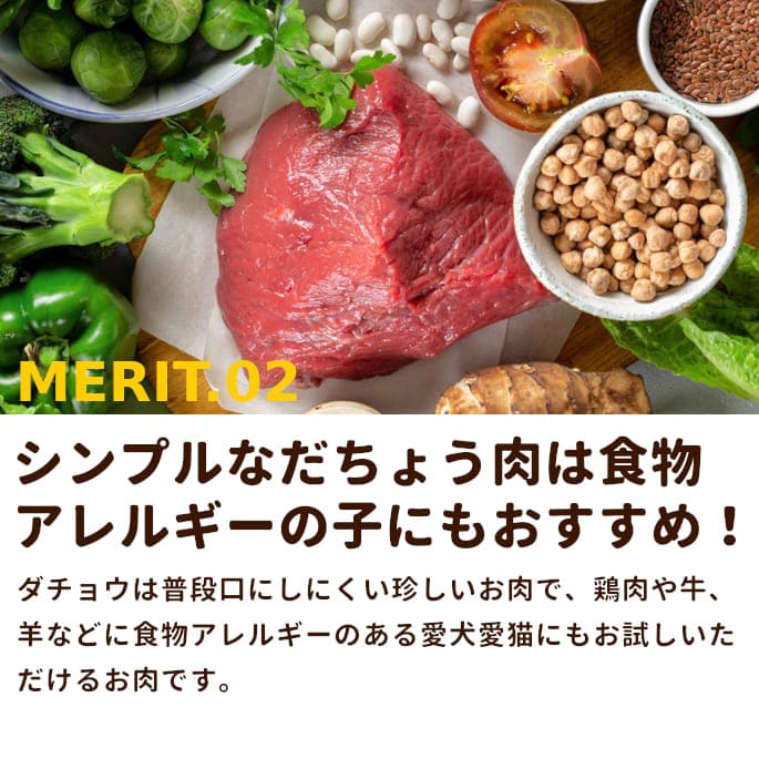 ��ǭ�� �����祦���ù񻺥����祦�����ߥ����ʬ���ȥ졼��10kg+1kg(11kg)�������礦����Ļ