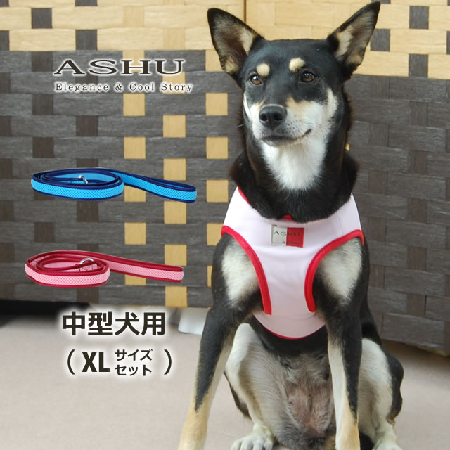 ASHU󥰥ϡͥ꡼ɥå XL(淿)