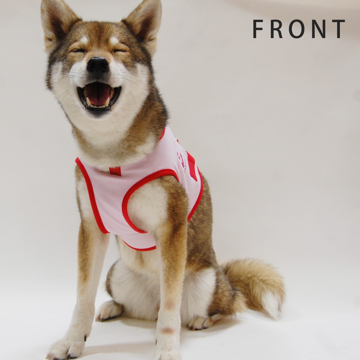 ASHU󥰥ϡͥ꡼ɥå XL(淿)