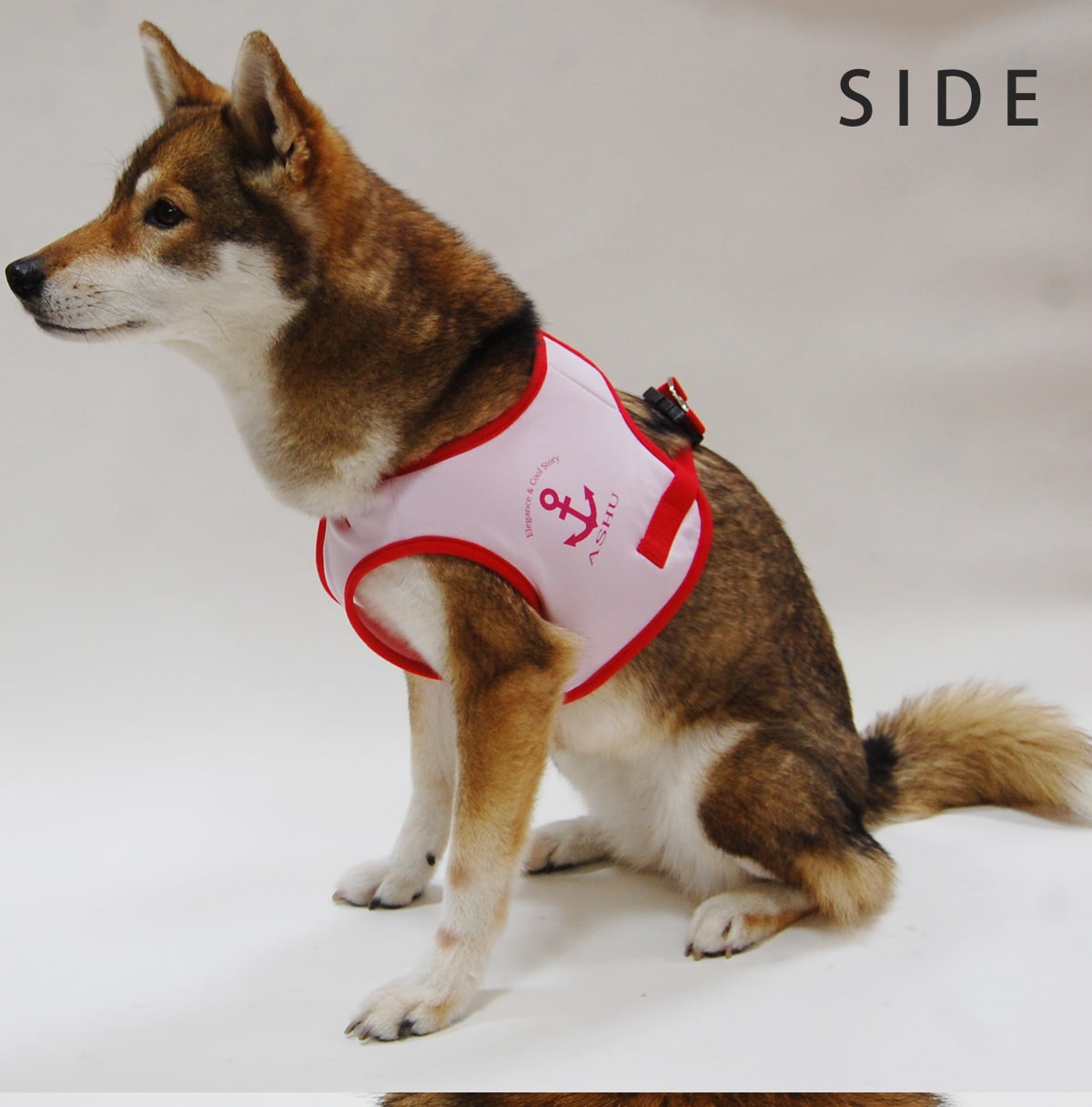 ASHU󥰥ϡͥ꡼ɥå XL(淿)