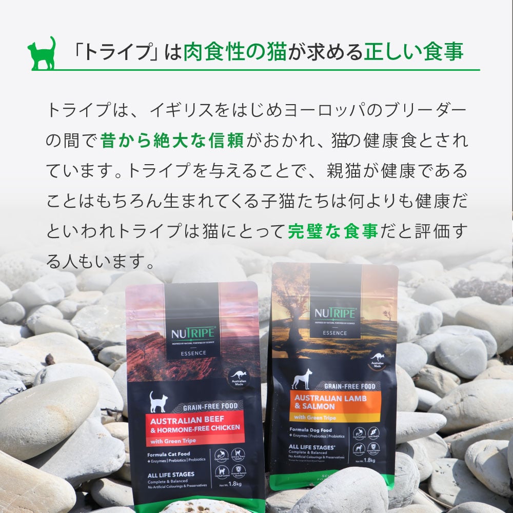ǭ�ѡ��˥塼�ȥ饤�ץɥ饤 ���å��󥹡���������������with���꡼��ȥ饤�ס�200g/1.8kg/6kg ����åȥա��ɡ�NUTRIPE ������饤�ե��ơ�������ǯ���б�������ܿ�