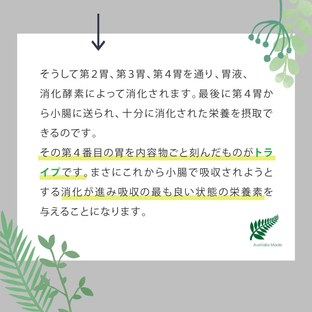 ǭ�ѡ��˥塼�ȥ饤�ץɥ饤 ���å��󥹡���������������with���꡼��ȥ饤�ס�200g/1.8kg/6kg ����åȥա��ɡ�NUTRIPE ������饤�ե��ơ�������ǯ���б�������ܿ�