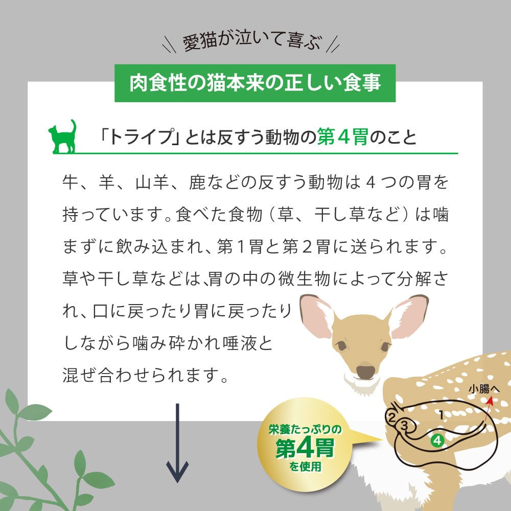 ǭ�ѡ��˥塼�ȥ饤�ץɥ饤 ���å��󥹡���������������with���꡼��ȥ饤�ס�200g/1.8kg/6kg ����åȥա��ɡ�NUTRIPE ������饤�ե��ơ�������ǯ���б�������ܿ�