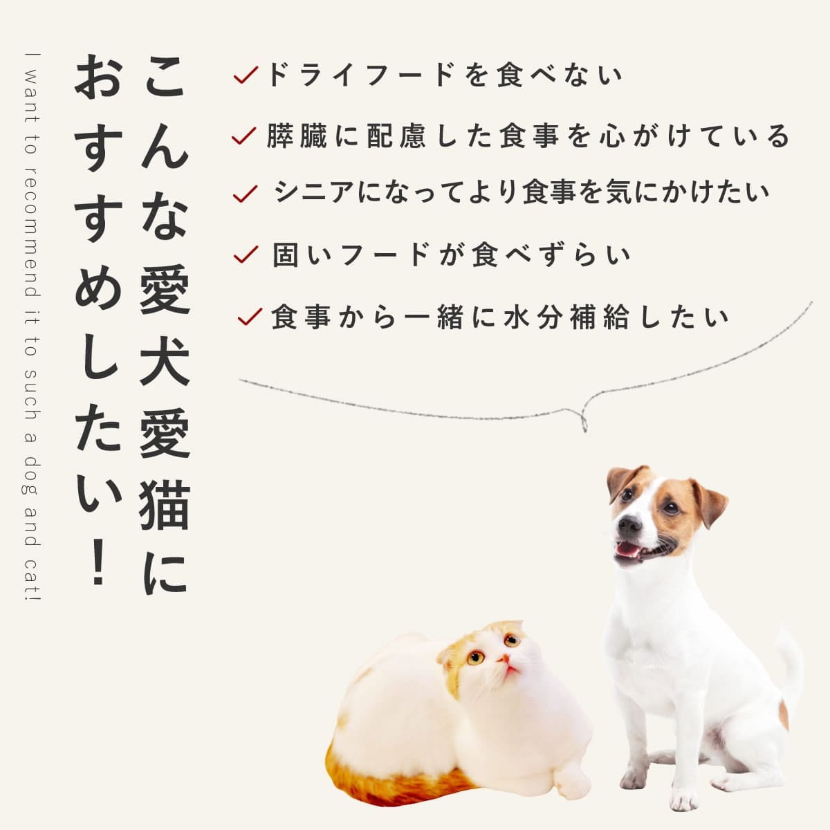 ������ ���ꤴ�Ϥ� ������Ȥۤ������Τ����� 6��/12��/24��/���å� �ڥϥ���ɥ��࿩Ʋ�ۡ������ء�