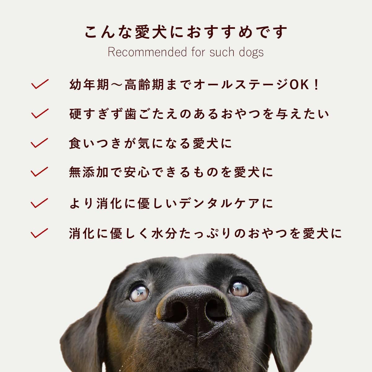 ǭѼꤴ ṾΥʤ󤳤 1ޡ40g3ĥåȡ/5  ڥϥɥ࿩Ʋ ء