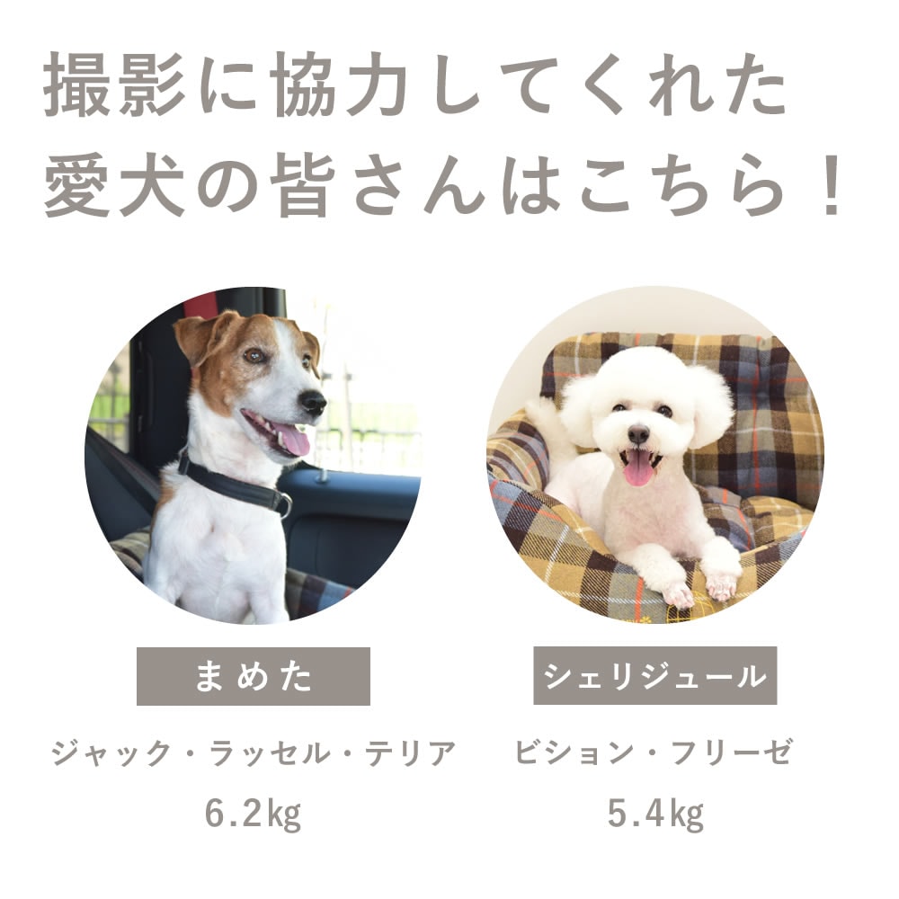  ѥ٥å åӥɥ饤ӥ󥰥٥å M ֥饦 ڥΥե