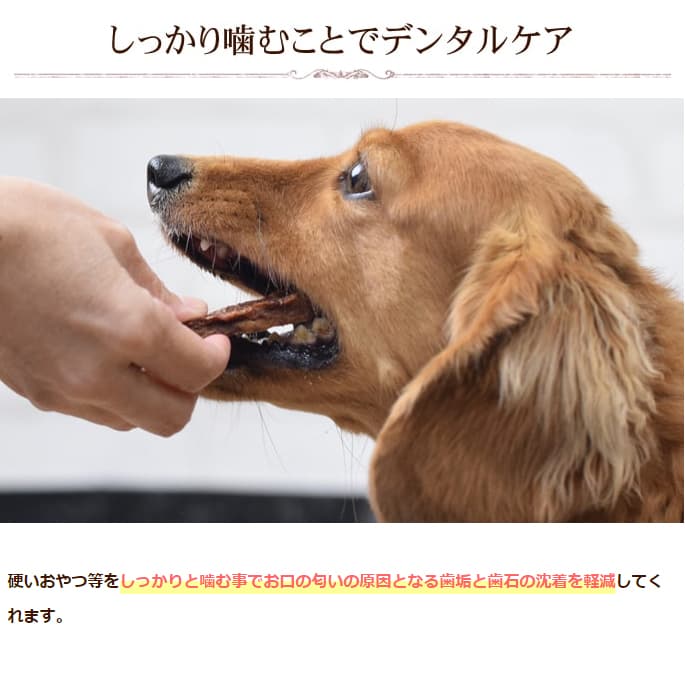 �����ݥϡ��ɥ��㡼���������� 80g