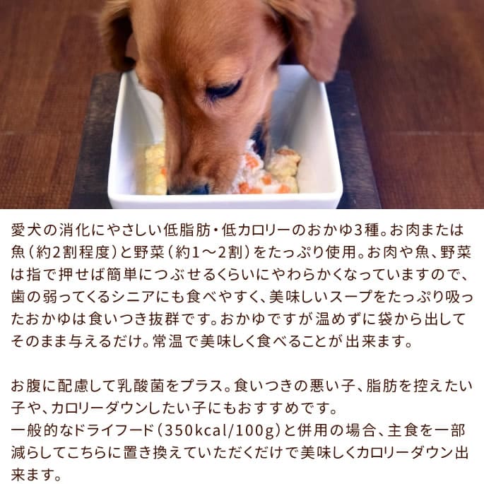 ѿ͵ΥȥȤ10ॻåȡХ饨ƥå