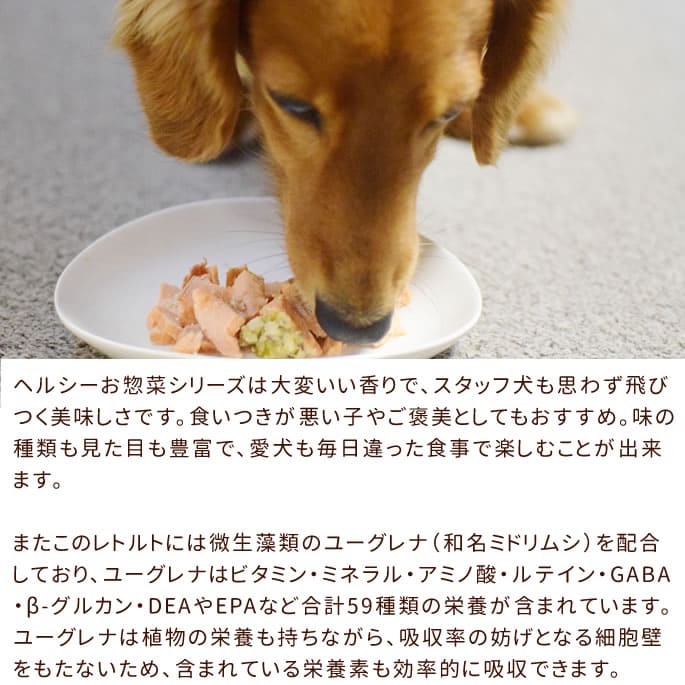 ѿ͵ΥȥȤ10ॻåȡХ饨ƥå