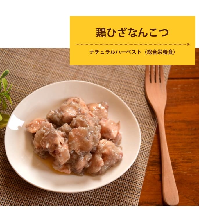 ѿ͵ΥȥȤ10ॻåȡХ饨ƥå