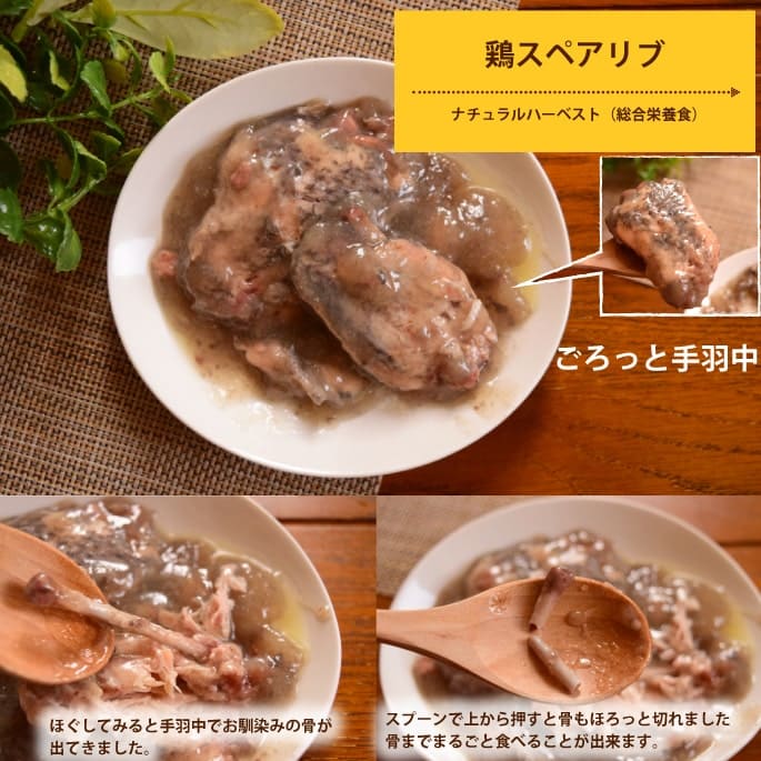 ѿ͵ΥȥȤ10ॻåȡХ饨ƥå