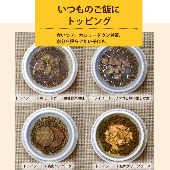 ѿ͵ΥȥȤ10ॻåȡХ饨ƥå