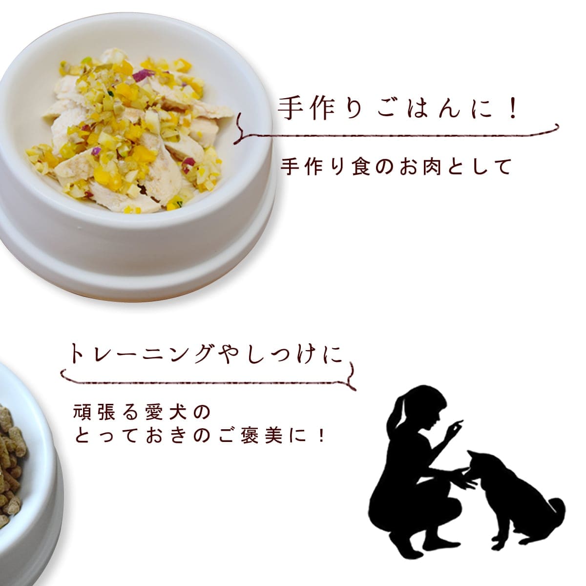 ��12������ ��������绳�ɤ�ξ����ܥ��ơ��� 5��+1�ޥ��åȡڥϥ���ɥ��࿩Ʋ�ۡ�����ۡڤȤäƤ������꡼����