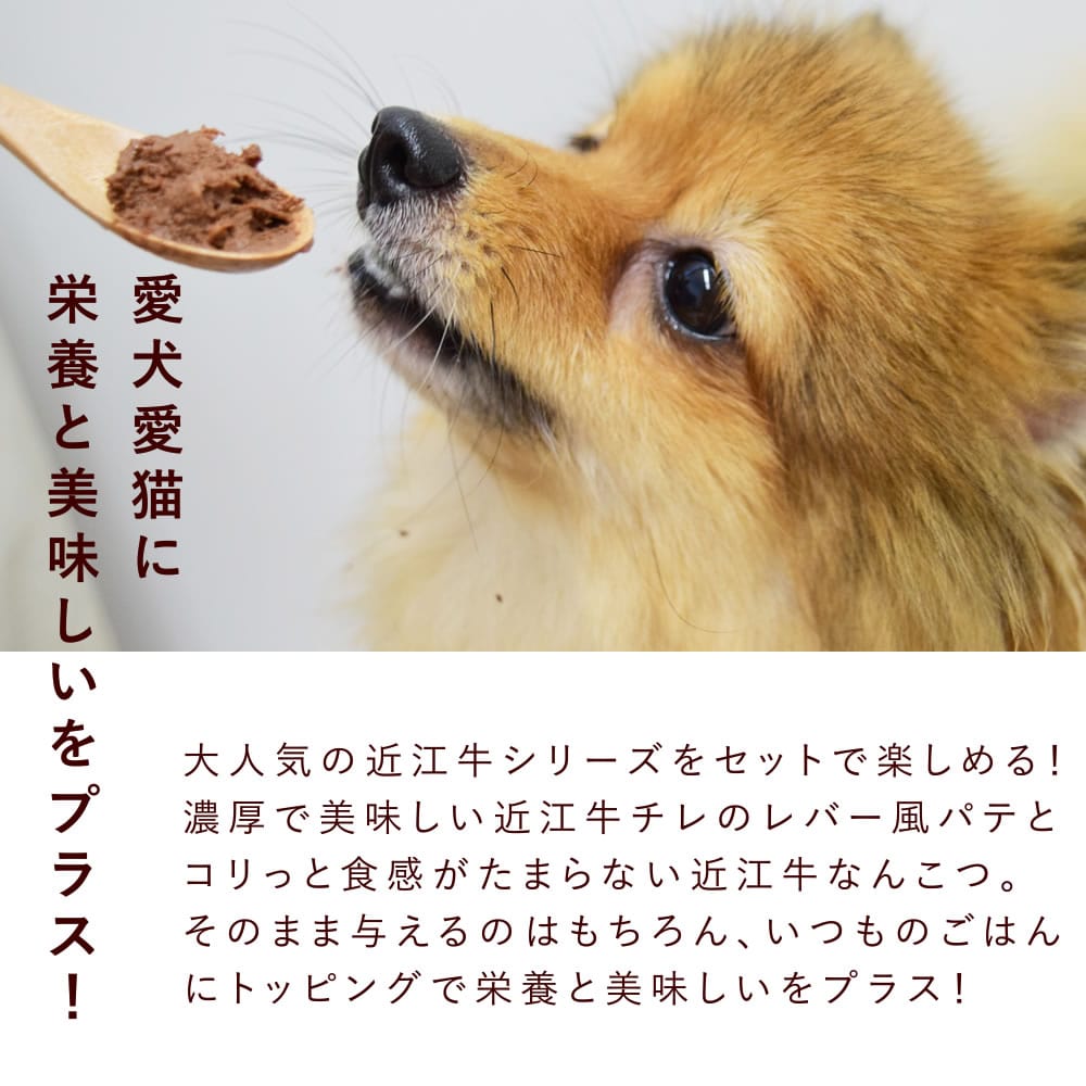������ǭ�� ��С����ѥƤȥ��������ʤ󤳤ĶṾ�����åȡڥϥ���ɥ��࿩Ʋ�ۡ������ء�