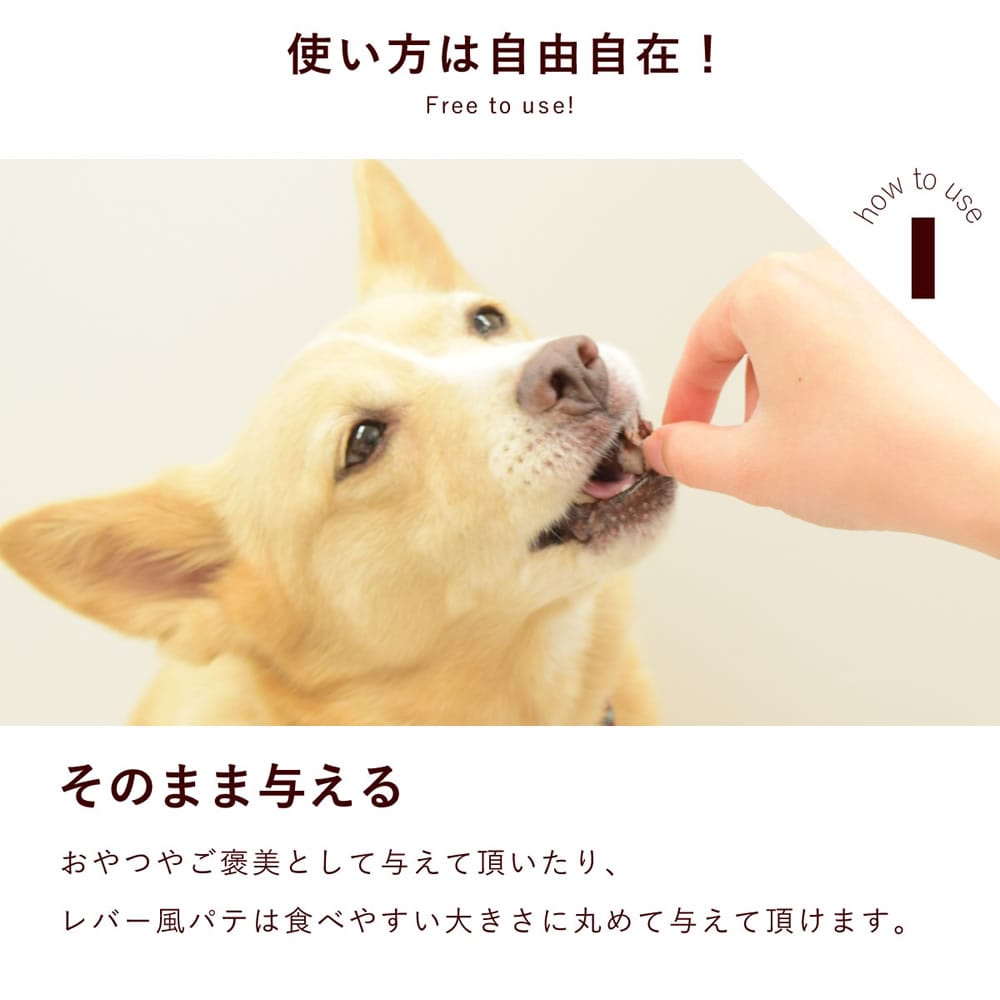 ������ǭ�� ��С����ѥƤȥ��������ʤ󤳤ĶṾ�����åȡڥϥ���ɥ��࿩Ʋ�ۡ������ء�
