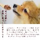 ������ǭ�� ��С����ѥƤȥ��������ʤ󤳤ĶṾ�����åȡڥϥ���ɥ��࿩Ʋ�ۡ������ء�