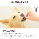 ������ǭ�� ��С����ѥƤȥ��������ʤ󤳤ĶṾ�����åȡڥϥ���ɥ��࿩Ʋ�ۡ������ء�