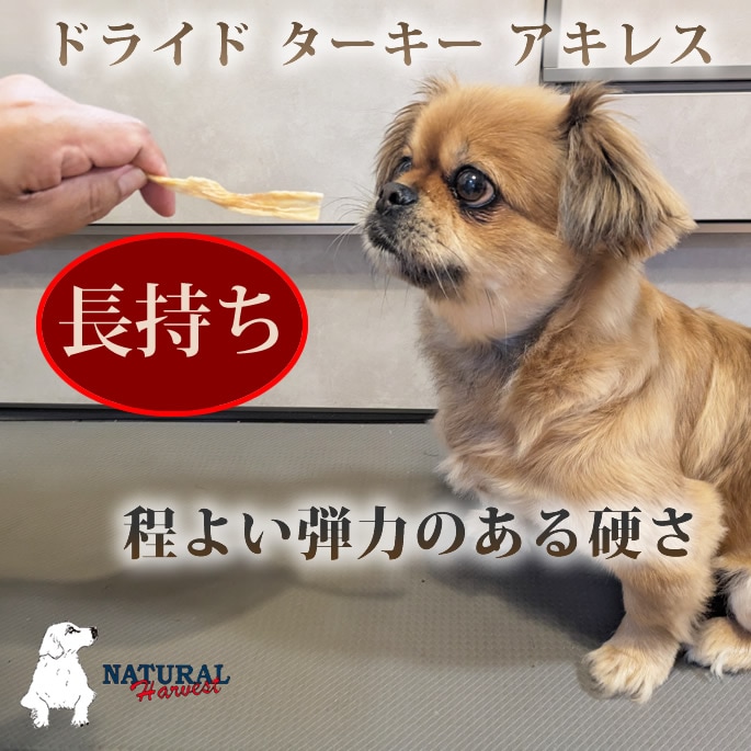 ������ �����| �ʥ�����ϡ��٥��� ����ġåɥ饤�ɥ������������쥹40g